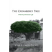 The Chinaberry Tree: A Novel of American Life