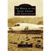 The Wreck of the Naval Airship USS Shenandoah