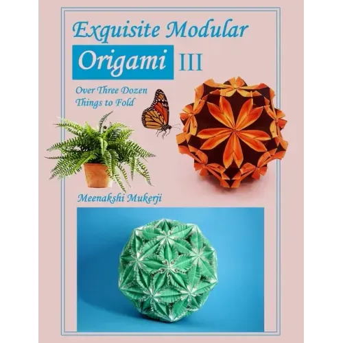 Exquisite Modular Origami III