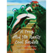 A Frog and His Really Cool Sandals
