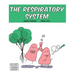 The Respiratory System