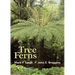 Tree Ferns