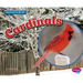 Cardinals