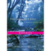 This Language, a River: Workbook