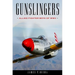 Gunslingers: Allied Fighter Boys of WWII