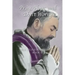 Pray, Hope, and Don't Worry: True Stories of Padre Pio Book II