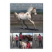 How to Identify and Release Your Horse's Pain Points: An Owner's Guide