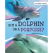 Is It a Dolphin or a Porpoise?