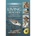 Florida's Living Beaches: A Guide for the Curious Beachcomber