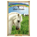 Silver Dream: Sometimes Horses Need a Little Magic