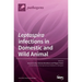 Leptospira infections in Domestic and Wild Animal