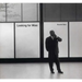 Looking for Mies