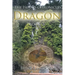 Dragon: Book Three