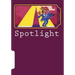 Spotlight: On Two-Word Verb Idioms