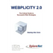 Webplicity 2.0: The Critical Guide to Successful Web Strategies