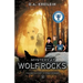 Mystery at Wolf Rocks