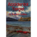 Accidental Target: An Iris DeVere Mystery