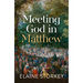 Meeting God in Matthew