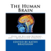 The Human Brain: " Over 100 Billion Neurons and 1 Quadrillion Synapses "