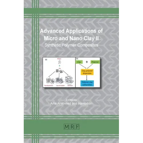 Advanced Applications of Micro and Nano Clay II: Synthetic Polymer Composites