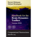Handbook for the Brain Dynamics Toolbox: Version 2020
