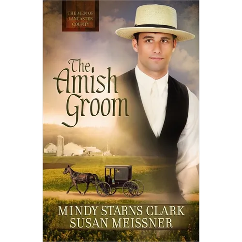 The Amish Groom: Volume 1