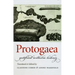 Protogaea