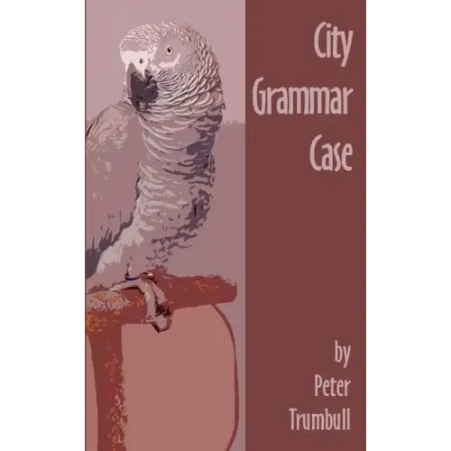 City Grammar Case