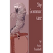 City Grammar Case