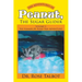 The Adventures of Peanut, the Sugar Glider: Volume 3: The Summer RV Road Trip Adventures