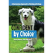 Confident by Choice: A Harmonious Approach to Working with Dogs