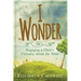 I Wonder: Engaging a Child's Curiosity about the Bible