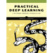 Practical Deep Learning: A Python-Based Introduction