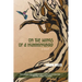 On the Wings of a Hummingbird