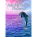 Amazing Dolphin Pictures: 100 photos of dolphins