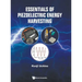 Essentials of Piezoelectric Energy Harvesting