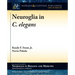 Neuroglia in C. elegans