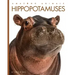 Hippopotamuses
