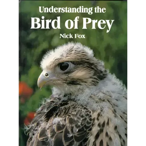 Understanding the Bird of Prey