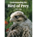Understanding the Bird of Prey
