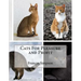Cats For Pleasure and Profit