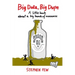 Big Data, Big Dupe: A Little Book about a Big Bunch of Nonsense