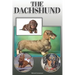 The Dachshund: A Complete and Comprehensive Owners Guide to: Buying, Owning, Health, Grooming, Training, Obedience, Understanding and