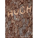 Hugh Hayden: American Vernacular