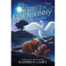 The Secret of Glendunny #2: The Searchers