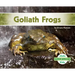 Goliath Frogs