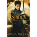 Spider: A Japanese Historical Fiction Novel
