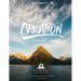 Creation Group Study