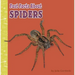 Fast Facts about Spiders