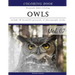 Owls World: Animal Gray Scale Photo Adult Coloring Book, Mind Relaxation Stress Relief Coloring Book Vol7: Series of coloring book